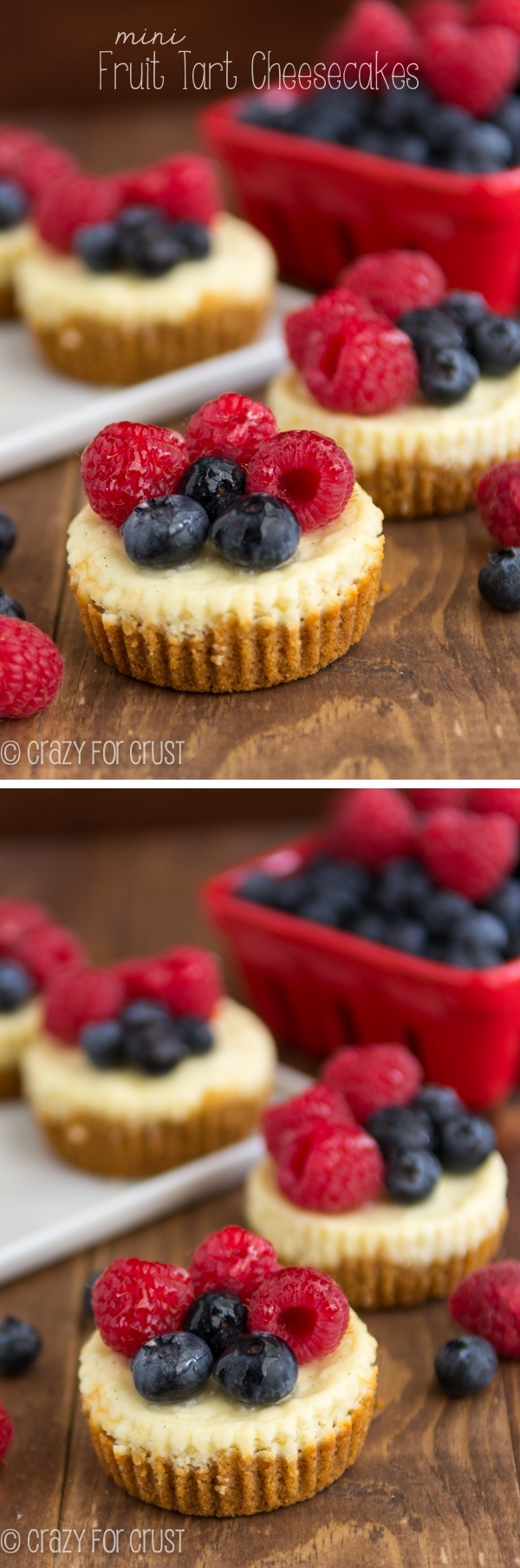 Fruit Tart Recipe Mini Cheesecakes