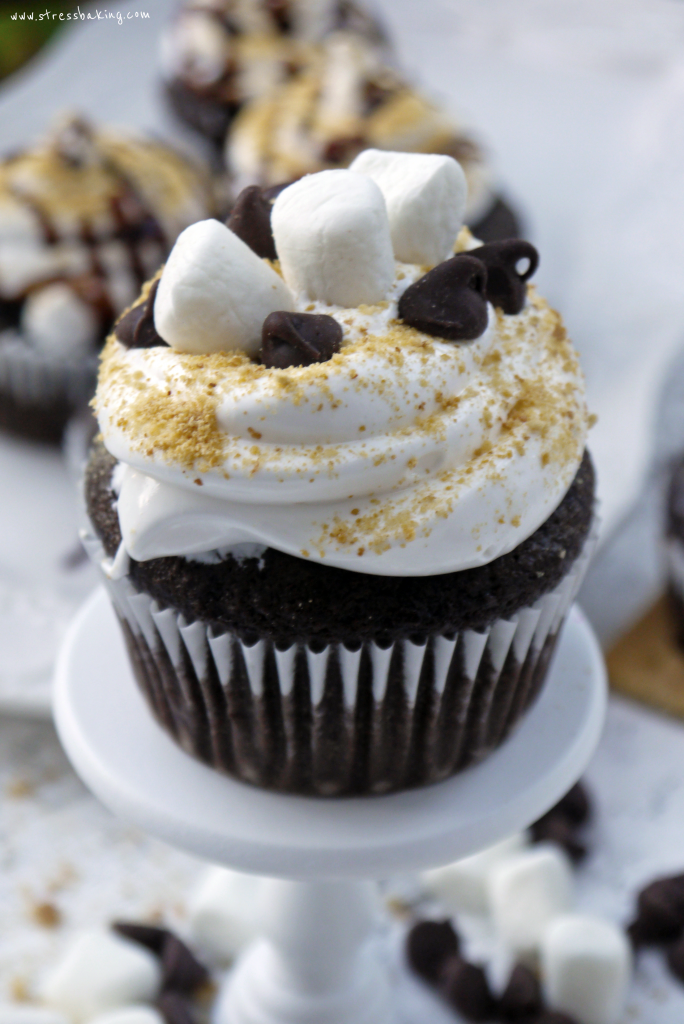 Graham Cracker Marshmallow Chocolate Cupcakes