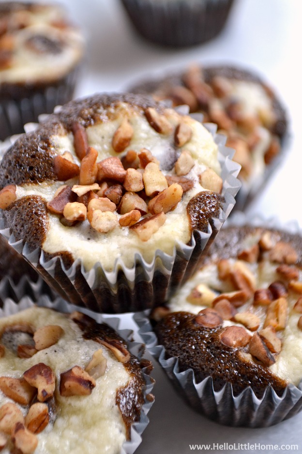 Mini Chocolate Chip Cheesecake Cupcake Recipe Mini Chocolate Chip Cheesecake Cupcake Recipe