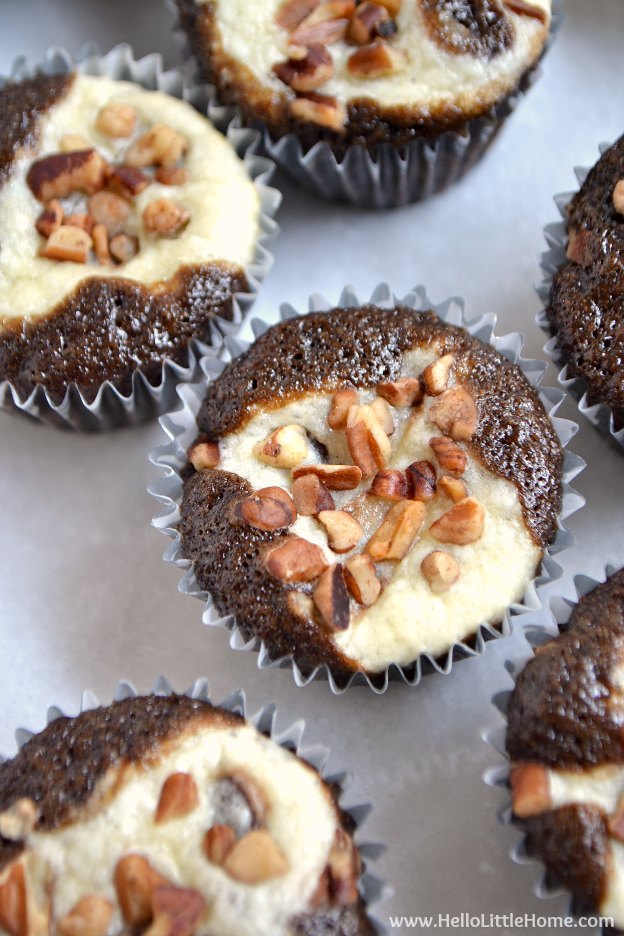 Mini Chocolate Chip Cheesecake Cupcake Recipe Mini Chocolate Chip Cheesecake Cupcake Recipe