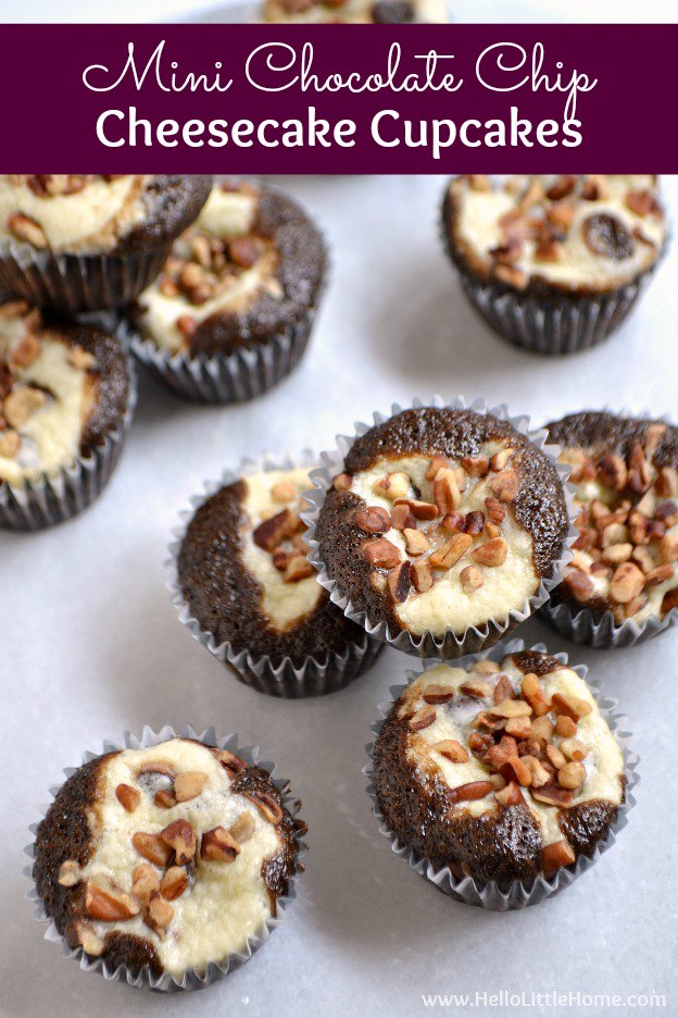 Mini Chocolate Chip Cheesecake Cupcake Recipe