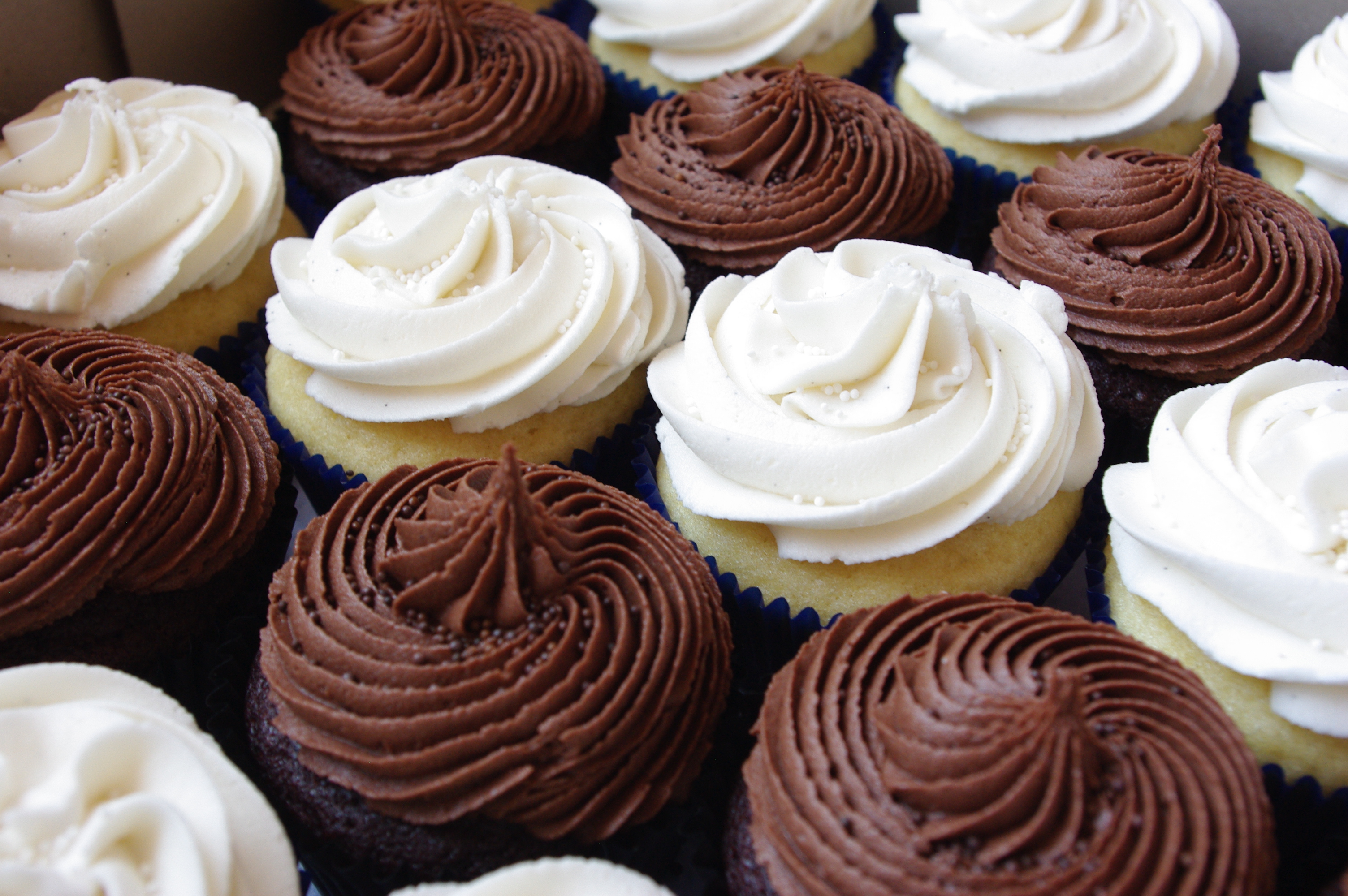 Chocolate and Vanilla Cupcakes