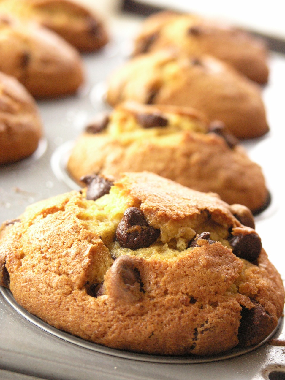 Chocolate Chip Pumpkin Cupcakes with Cream Cheese Frosting