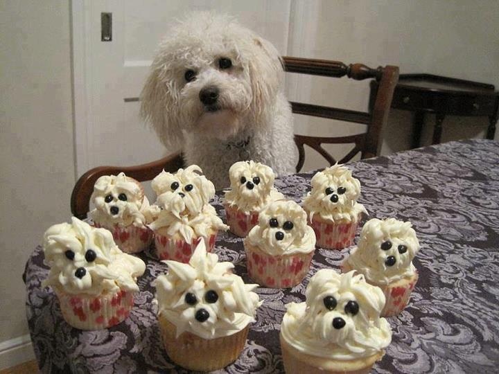 Cupcakes That Look Like Dogs