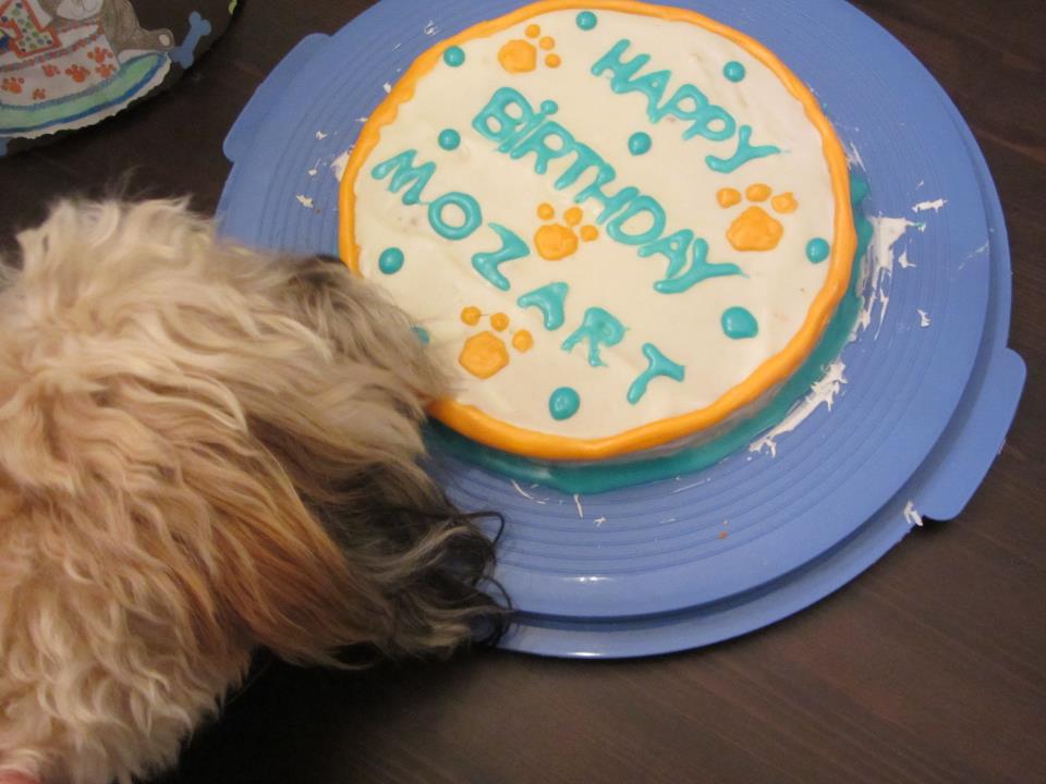 Dog Birthday Cake Recipe