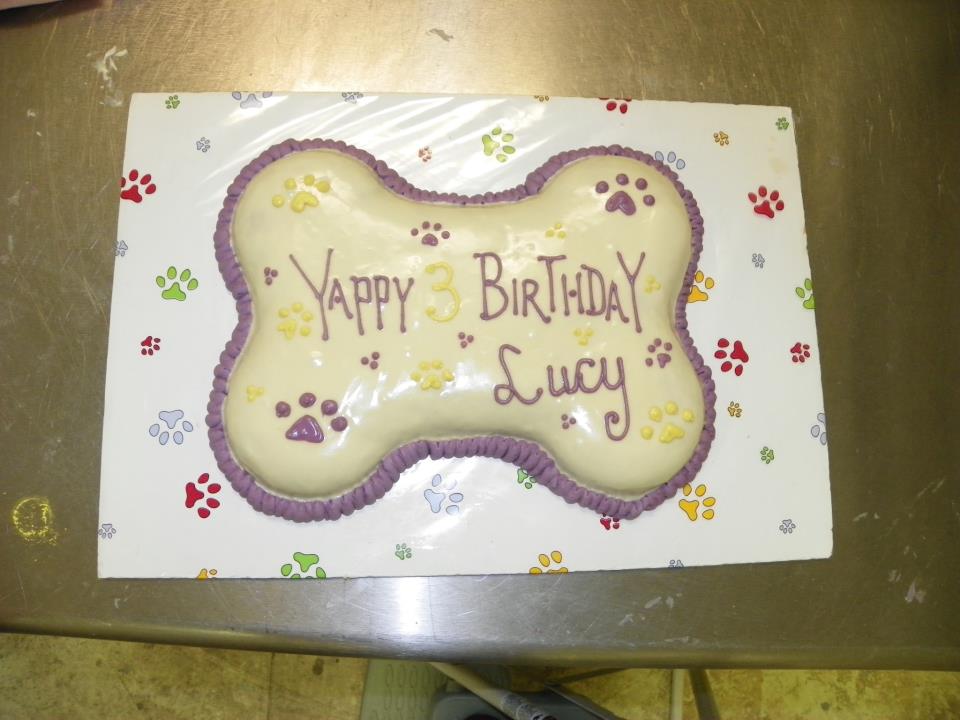 Dog Birthday Cake