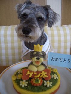 Dog Birthday Cake