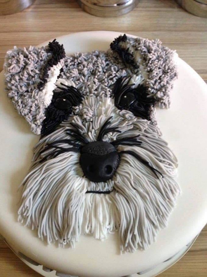 Dog Cake Ideas