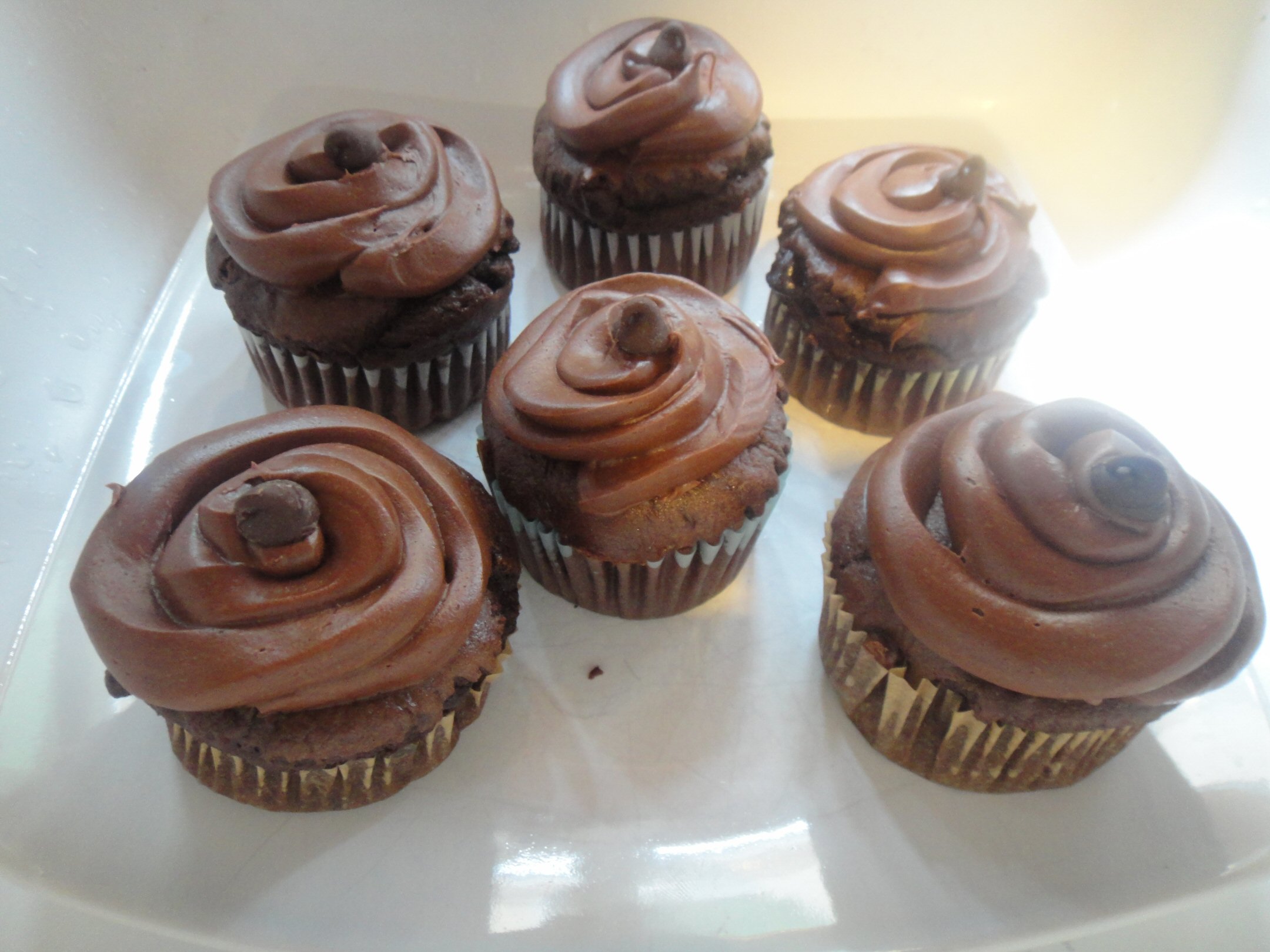 Double Chocolate Chip Cupcakes