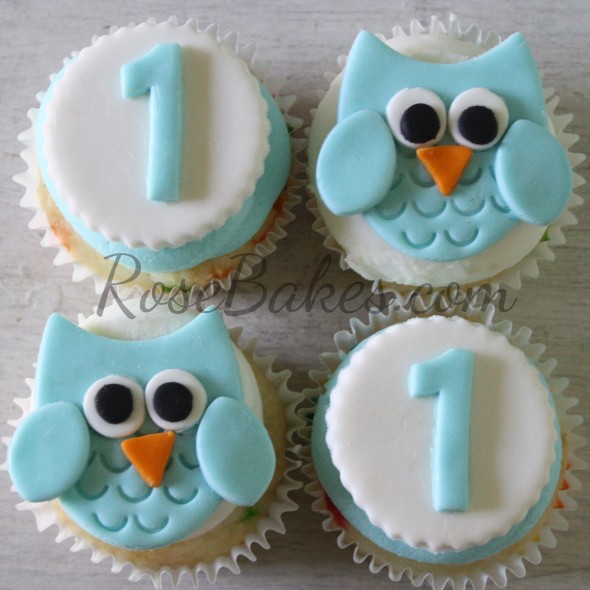 Owl 1st Birthday Smash Cake and Cupcakes