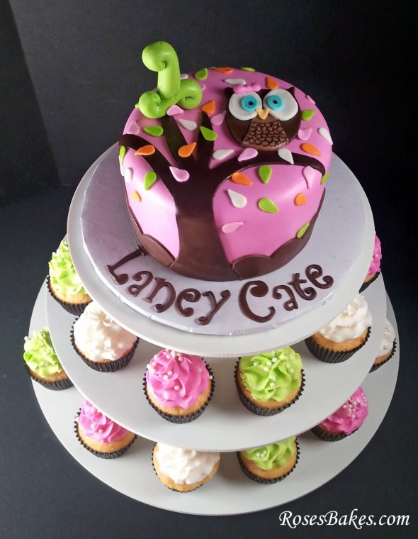 Owl Birthday Cake with Cupcakes