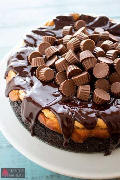 Peanut Butter Cup Cheesecake Peanut Butter Cup Cheesecake