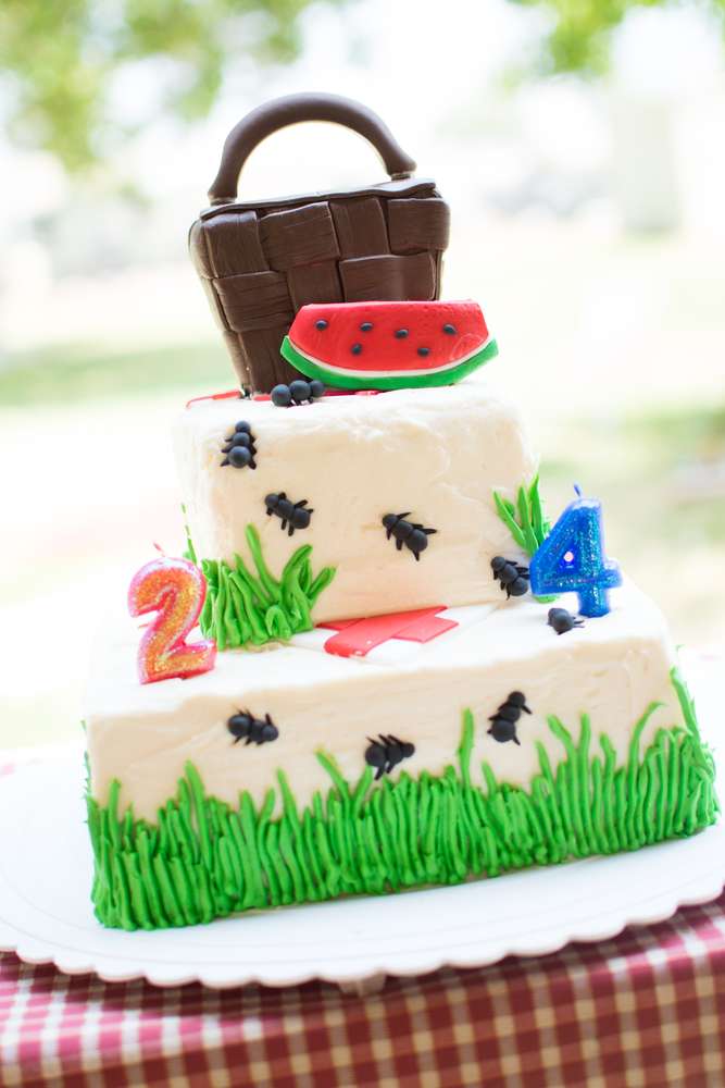 Picnic Birthday Party Ideas Picnic Birthday Party Ideas