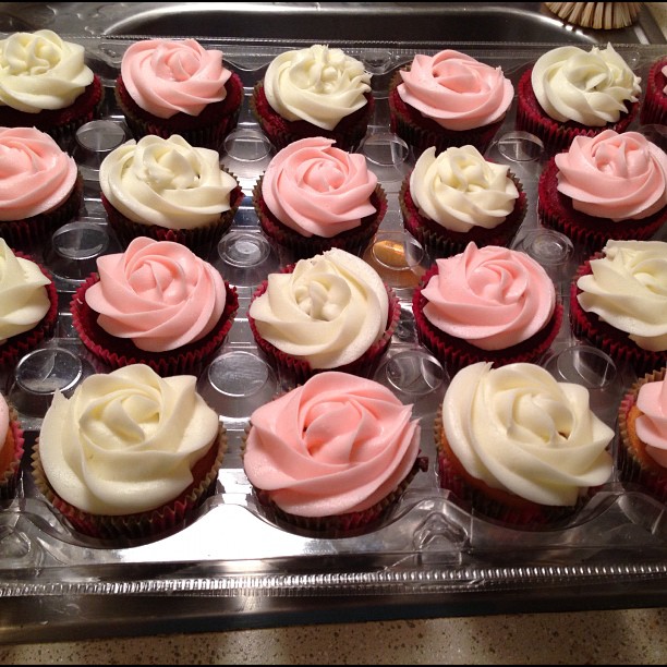 Pink Cupcakes with White Roses Pink Cupcakes with White Roses
