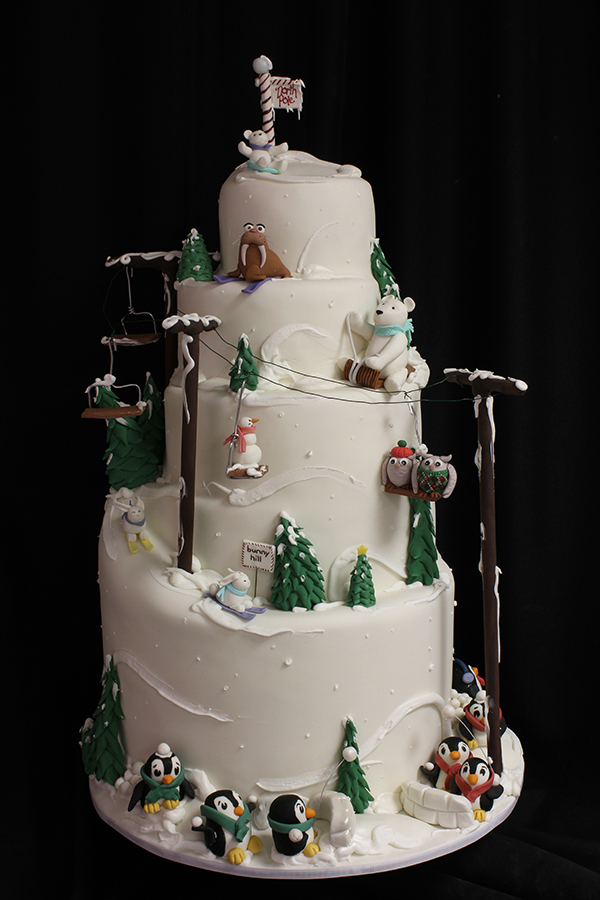 Snow Ski Birthday Cake