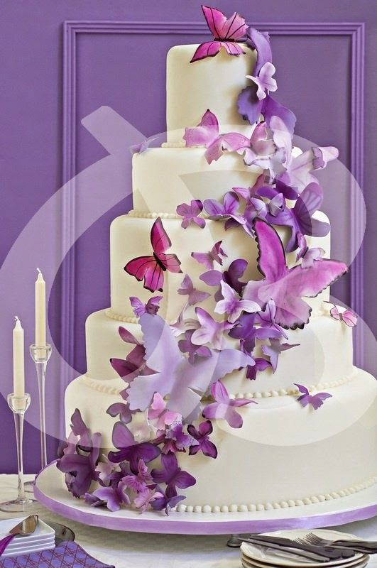 Wedding Cake with Butterflies