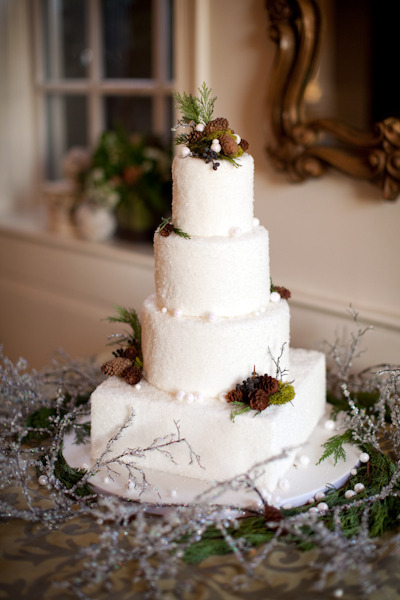 Winter Wedding Cake Winter Wedding Cake