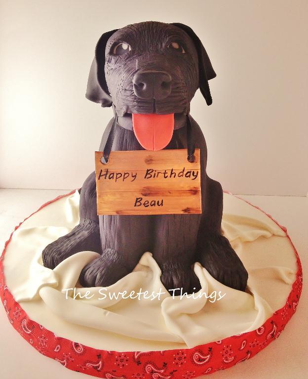 Black Lab Birthday Cake Black Lab Birthday Cake