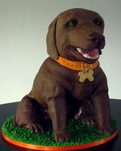 10 Photos of Labrador Retriever Cakes 10 Photos of Labrador Retriever Cakes