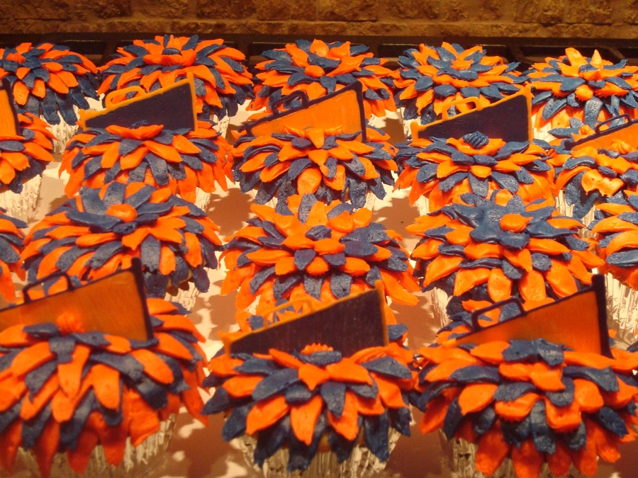 Cheerleader Cupcakes
