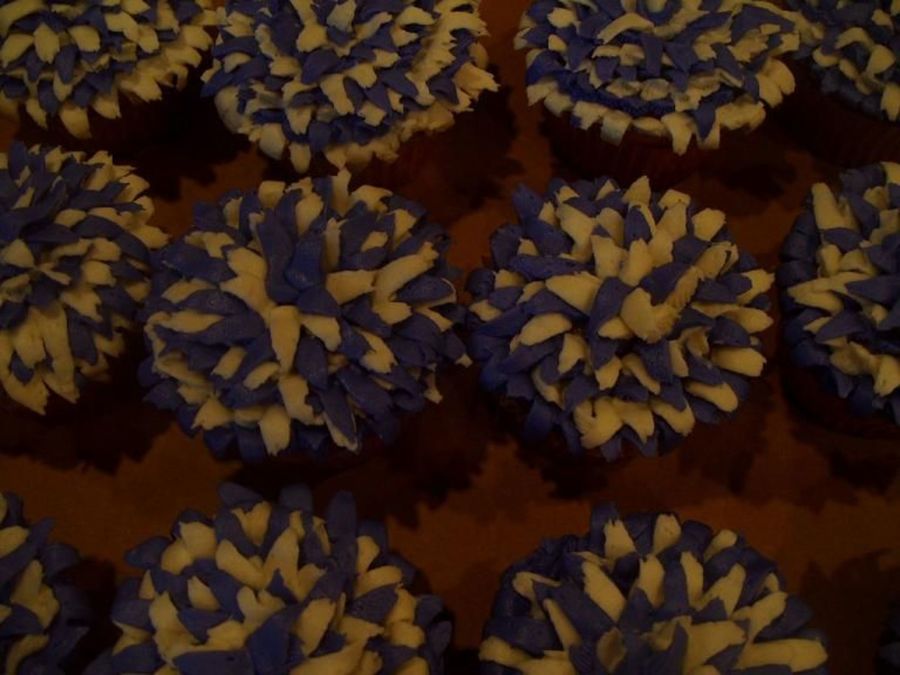 Cheerleading Cupcake Ideas