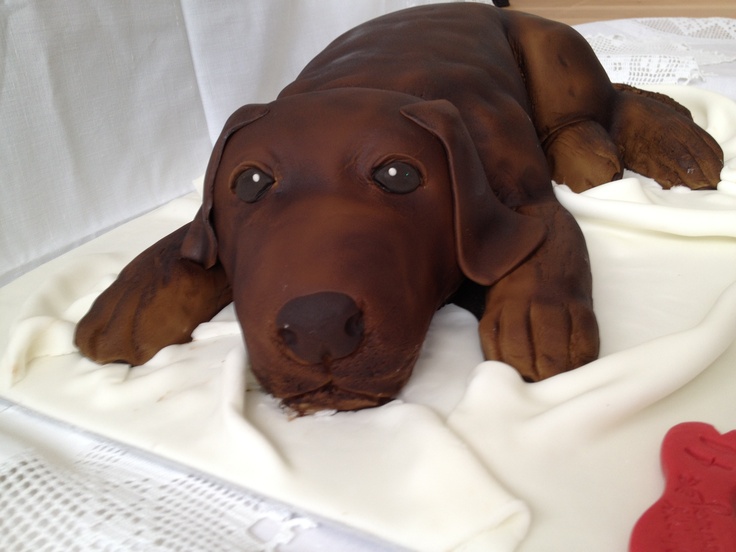 Chocolate Birthday Cake Chocolate Birthday Cake