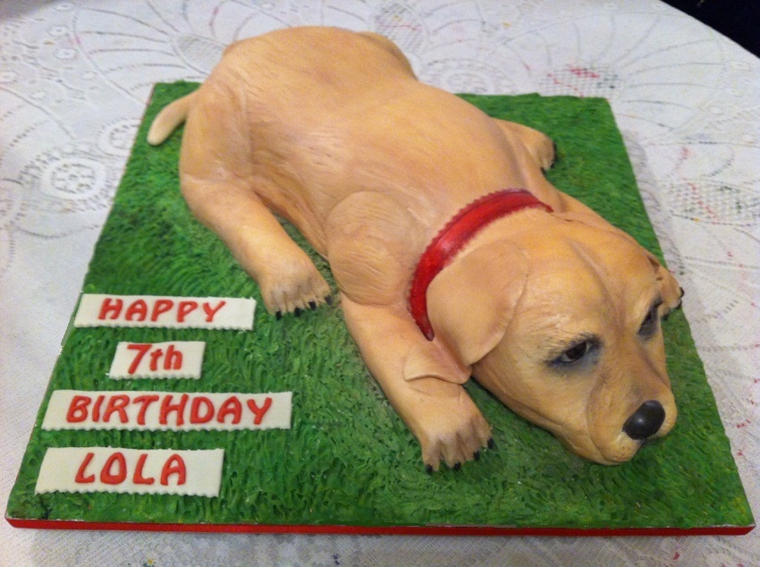 Labrador Birthday Cake Labrador Birthday Cake