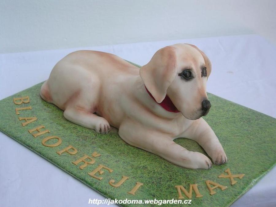 Labrador Retriever Birthday Cake Labrador Retriever Birthday Cake