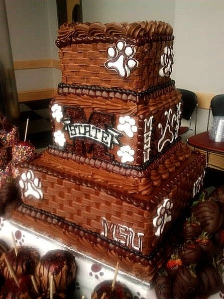 Mississippi State Grooms Cake