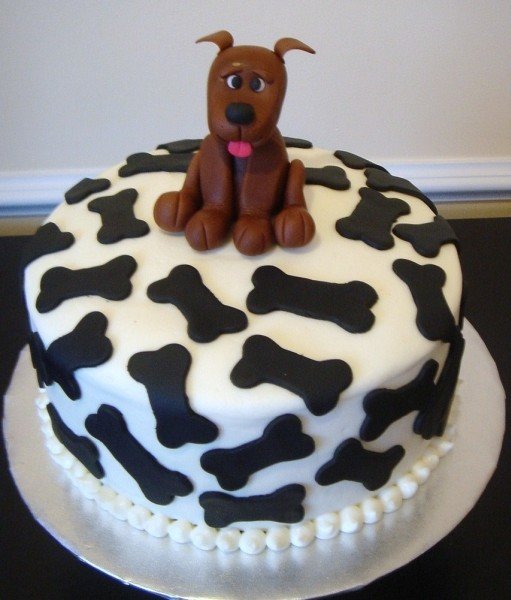 10 Photos of Dog Bone Shaped Cakes Tumblr 10 Photos of Dog Bone Shaped Cakes Tumblr