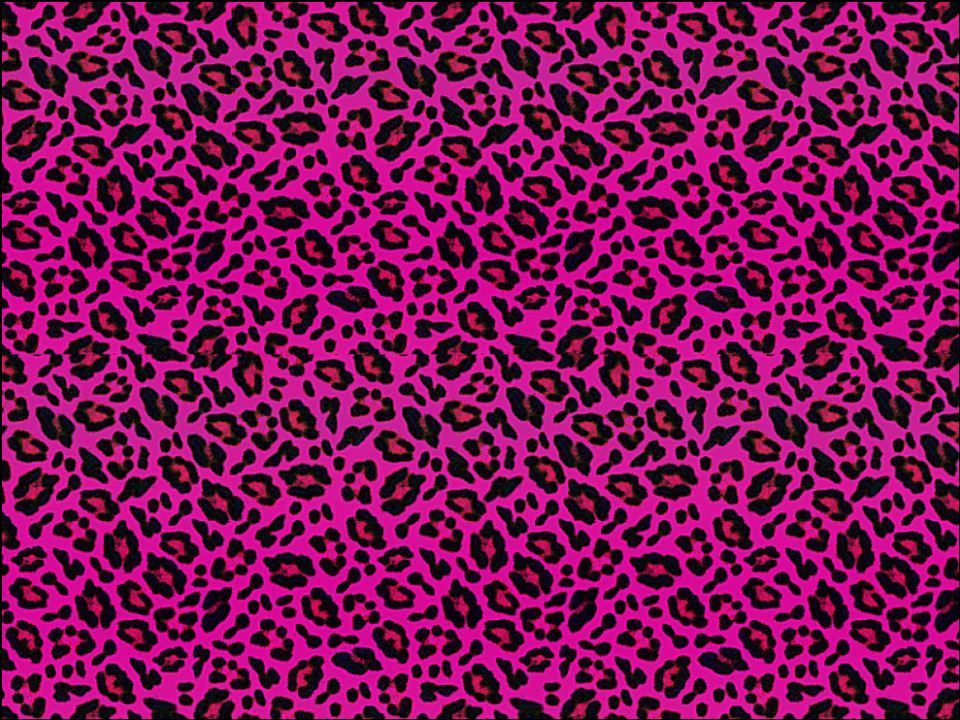 Black and Pink Leopard Print Cake Black and Pink Leopard Print Cake
