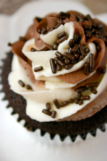 Chocolate Chip Cheesecake Cupcakes Chocolate Chip Cheesecake Cupcakes