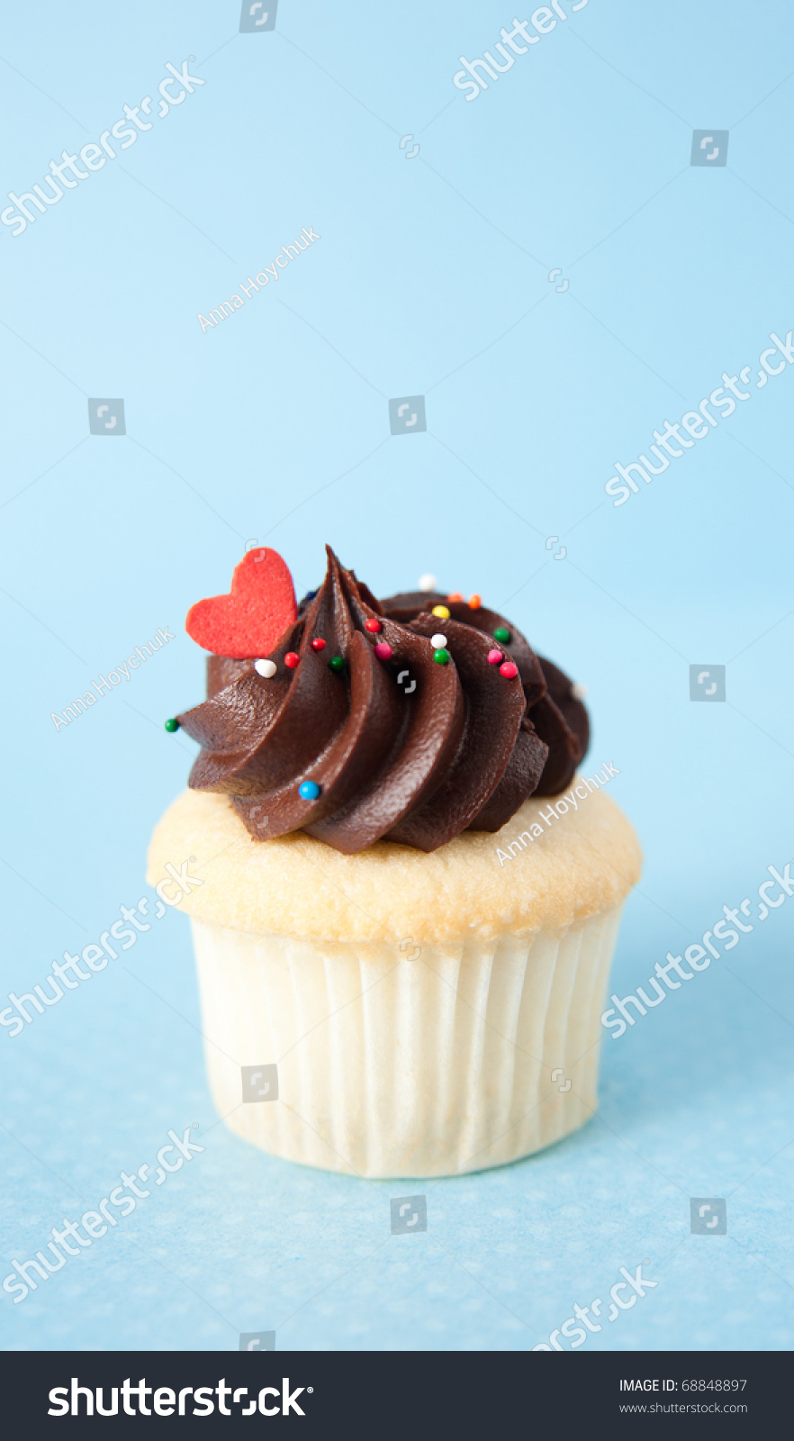 Chocolate Cupcakes with Icing