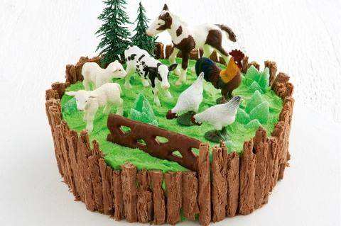Animal Birthday Cake Ideas
