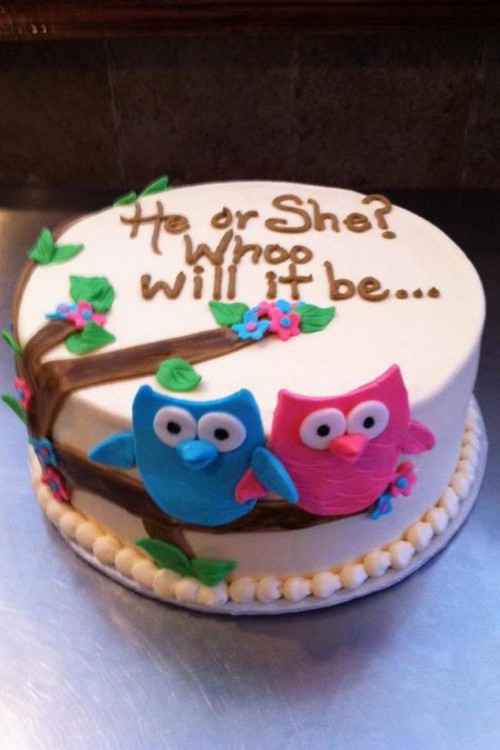 Baby Gender Reveal Party Ideas Baby Gender Reveal Party Ideas