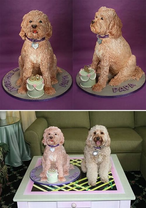 Birthday Cakes Shaped Like Dogs