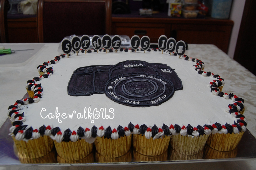 Camera Cake Cupcakes