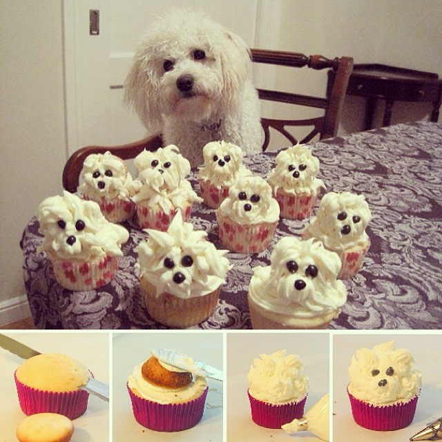 Cute Easy Dog Cupcakes