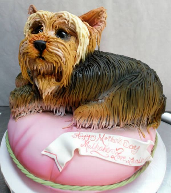 Dog Birthday Cake Dog Birthday Cake