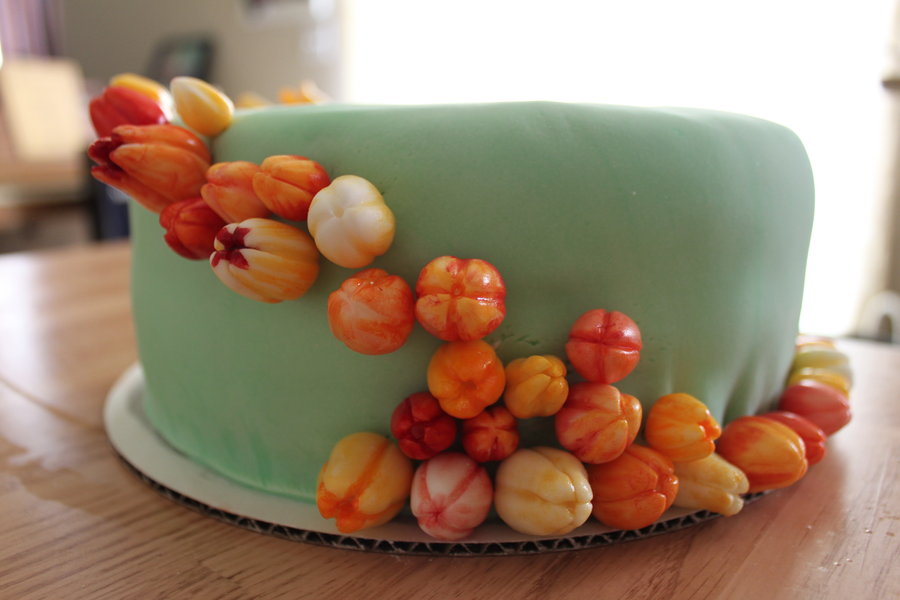 Fondant Tulip Cake