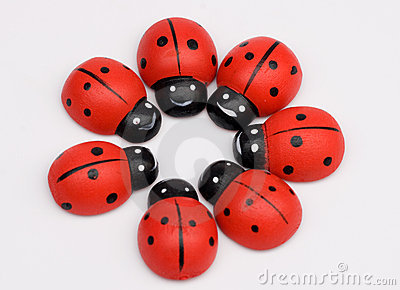 Ladybug Circle S