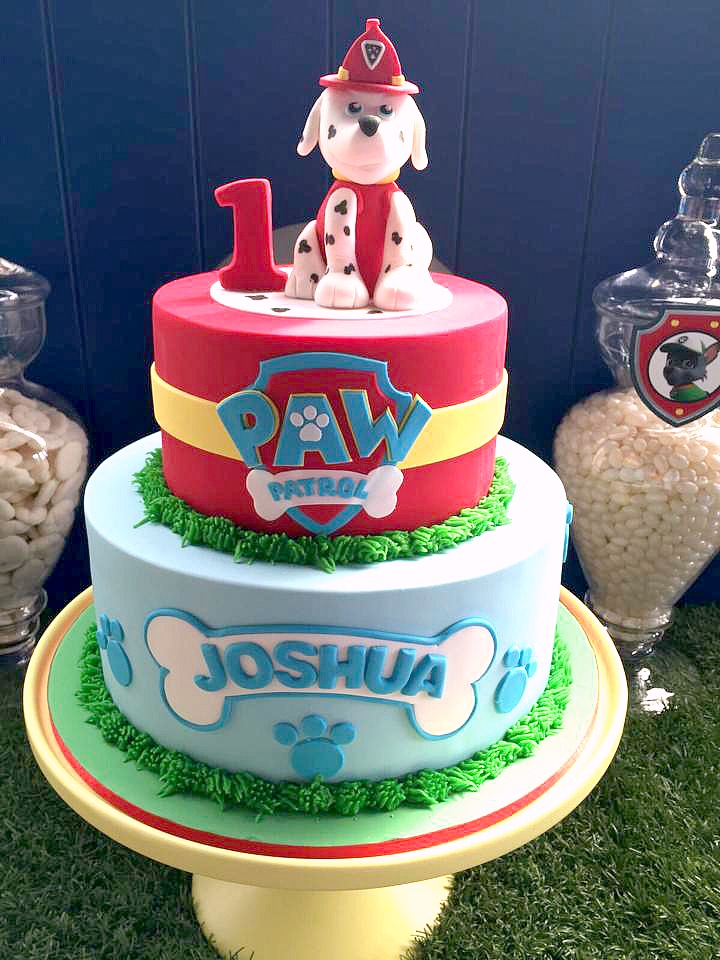 PAW Patrol Birthday Party Cake PAW Patrol Birthday Party Cake
