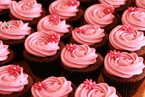 Pink and Chocolate Cupcakes with Vanilla Icing