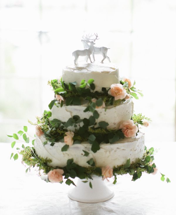 Publix Wedding Cakes and Flowers