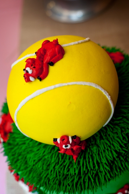 Arkansas Razorback Grooms Cake Arkansas Razorback Grooms Cake
