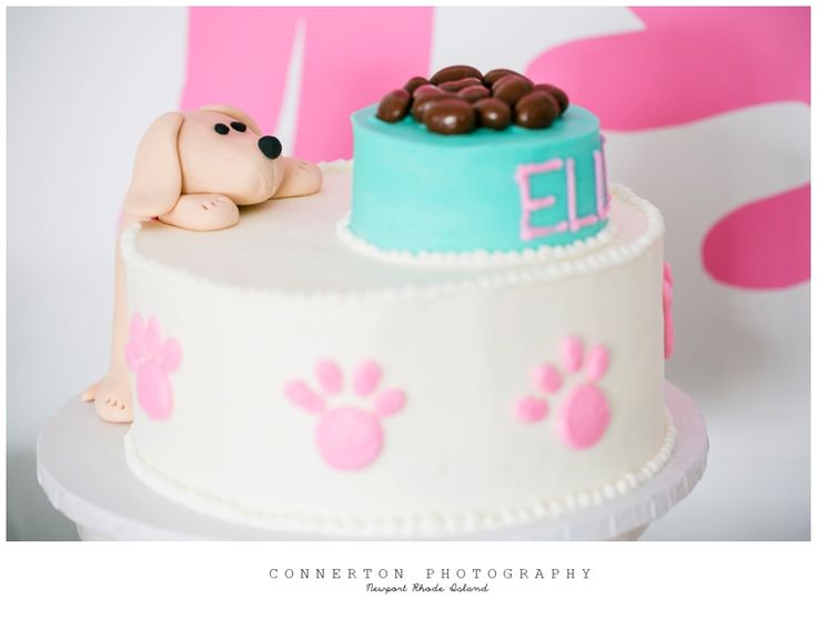 puppy themed cake