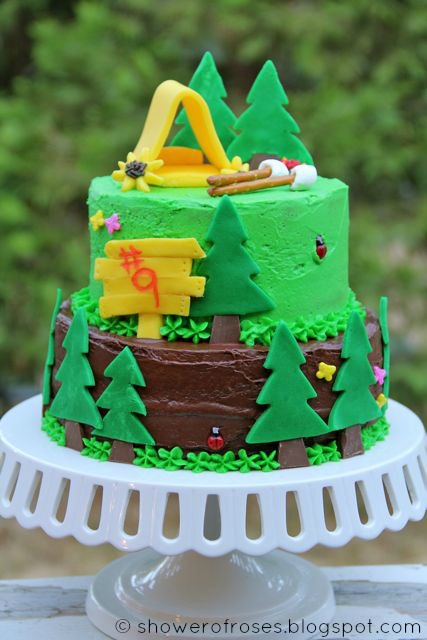 Camping Theme Birthday Cake Camping Theme Birthday Cake