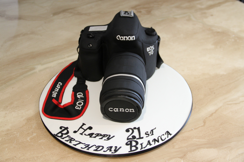 Canon Camera Cake