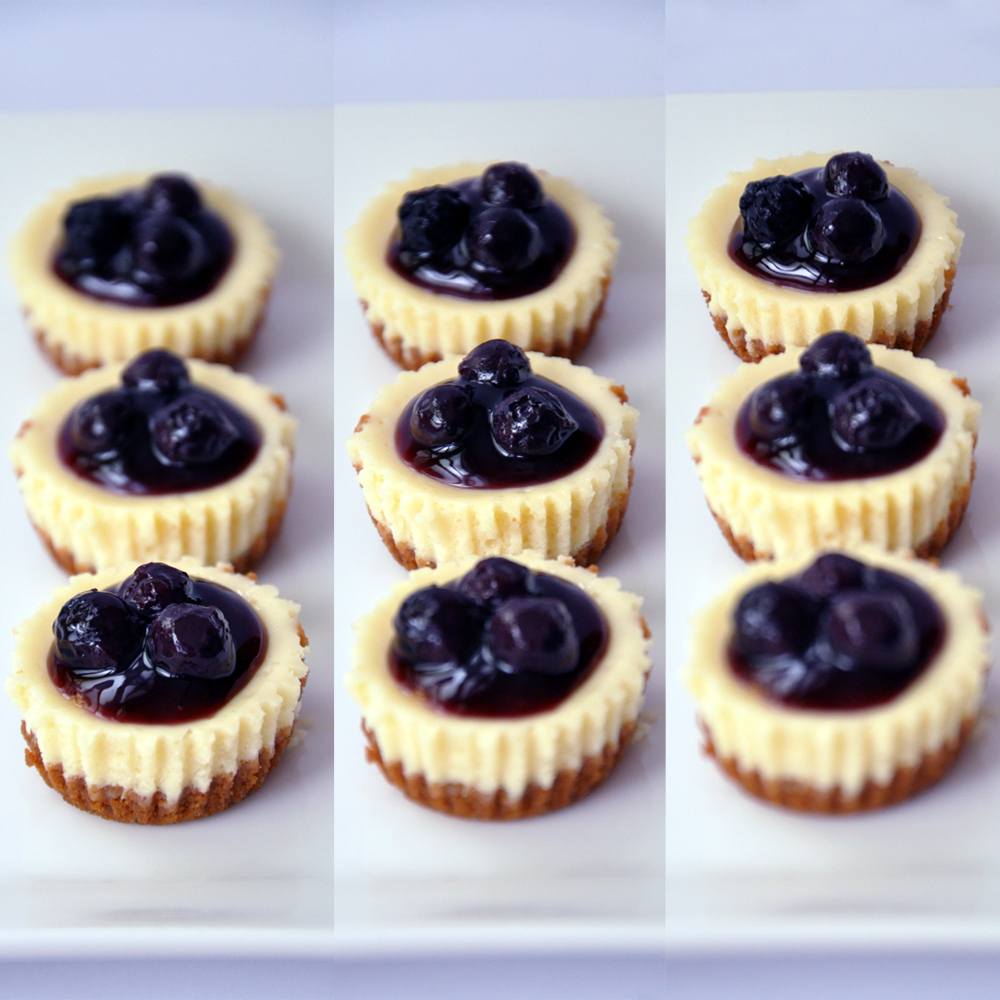 Mini Blueberry Cheesecake Recipe