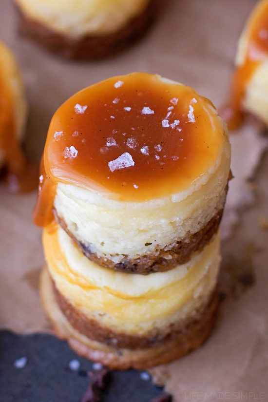 Mini Chocolate Chip Cookie Cheesecake Recipe Mini Chocolate Chip Cookie Cheesecake Recipe